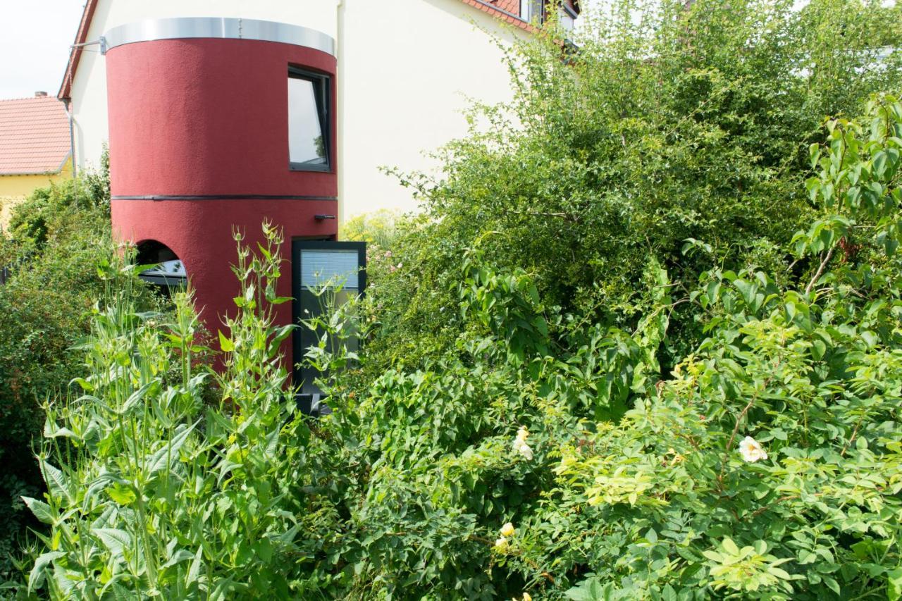 Das Alte Kino In Barth - Das Gartenhaus Eksteriør bilde